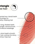 Tangle Teezer Fine & Fragile Ultimate Detangler Brush, Dry & Wet Hair Brush to Detangle & Reduce Breakage, Amazon Exclusive Sweet Cinnamon