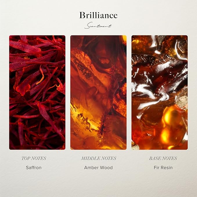 Scentiment Diffuser Oil - Brilliance Designer Collection | Aromatherapy Home Fragrance | Luxurious Scent with Notes of Saffron, Amberwood, Fir Resin (20 mL)