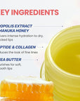 CNP Honey Lip Butter Mini Set – Propolis Lipcerin™ Travel-Size (4 Flavors), Hydrating Overnight Manuka Lip Balm & Mask, 12hr Long-lasting Moisture, Korean Skincare, 0.15 fl.oz. x 4 ea