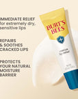 Burts Bees Rescue Lip Relief with Shea Butter and Echinacea, 100% Natural Origin, 0.35 Ounces