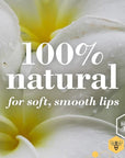 Burts Bees Rosemary and Lemon Lip oz