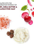 Salt Range Lip Balm with Cherry & Shea Butter – Hydrating and Soothing Lip Moisturizer for Deep Nourishment, Organic Chapstick, 12-Count Pack (24 Pieces) for Soft Lips