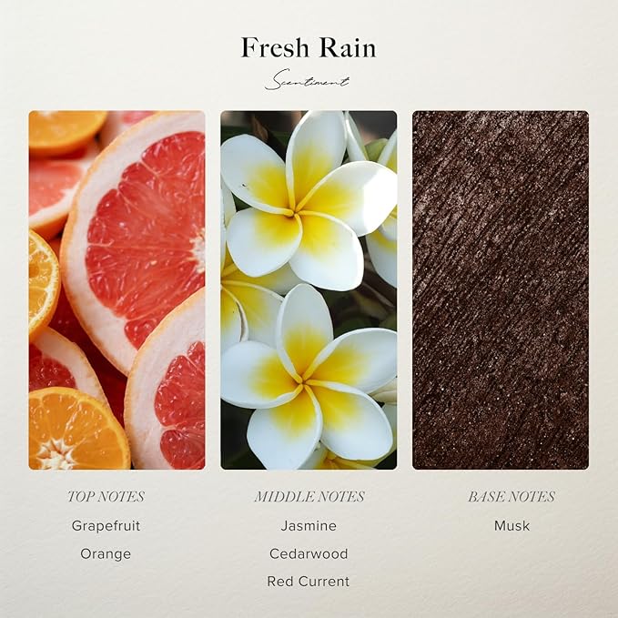 Scentiment Diffuser Oil - Fresh Rain | Aromatherapy Home Fragrance |Inspired by Marriott® Hotels | Luxurious Scent with Notes of Fresh Grapefruit and Crisp Red Currant (20 mL)