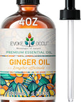 EVOKE OCCU 100% Pure Ginger Oil, Natural Ginger Essential Oil for Massage, Diffuser, Hair, Skin, DIY - 4 Fl Oz