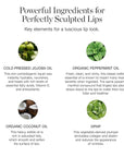 Ogee Tinted Sculpted Lip Oil - Lip Stain Made with 100% Organic Coconut Oil, Jojoba Oil, and Vitamin E - Best as Lip Balm, Lip Color or Lip Treatment - VIOLA