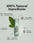 Poppy & Pout Sweet Mint A Jumbo Lip Balm | All Natural Lip Balms & Moisturizers | Hydrates with Beeswax, Vitamin E, Organic Coconut Oil | Cruelty-Free | Lip Balm in Recyclable Cardboard Tube