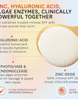 Fig.1 Mineral Sunscreen for Face SPF 50 | Zinc Oxide Face Sunscreen Moisturizer with Hyaluronic Acid & Antioxidant | Broad Spectrum Sun Protection –Fragrance-Free, Lightweight, Invisible Finish, 1.7oz