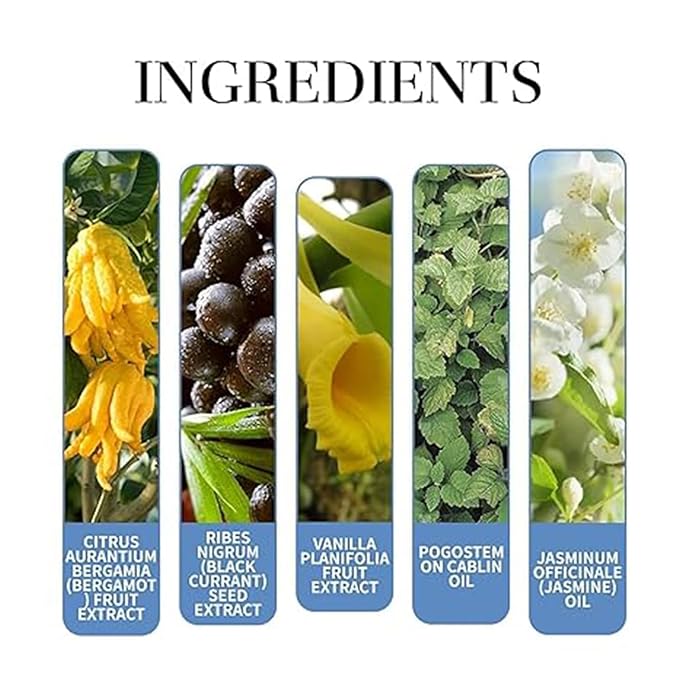 Rebel Cologne Pheromone for Men,Alloura Pheromone Perfume, Long Lasting Men's Cologne Fragrance(2PCS)