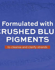 John Frieda Blue Crush Shampoo and Conditioner Set for Brunettes, Nourishes Color-Treated and Natural Hair, Blue Pigments for Vibrant, Cool-Toned Brunette Hair, 8.3 Oz, Pack of 2