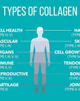Natures Plus Collagen Peptides - 0.65 lbs Powder, Pack of 2 - Hair, Skin, Nail & Joint Health, Immune System Support - Non-GMO, Gluten Free - Up to 56 Total Servings