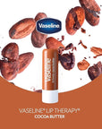 Vaseline Lip Therapy Cocoa Butter Lip Balm, 6 Pack, 0.16 Oz Ea