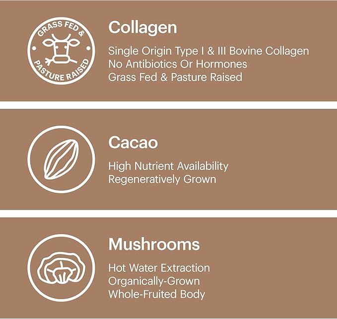 Wellthy Collagen Superfood Powder, Fights Stress & Fatigue, Cacao, Mushroom Powder - Organic Chaga & Reishi Extracts, Certified Organic Matcha, Allergen-Free & Non-GMO