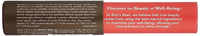 Burt's Bees 100% Natural Tinted Lip Balm, Rose with Shea Butter & Botanical Waxes – 2 Tubes