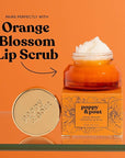 Poppy & Pout Orange Bloom Jumbo Lip Balm | All Natural Lip Balms & Moisturizers | Hydrates with Beeswax, Vitamin E, Organic Coconut Oil | Cruelty-Free | Lip Balm in Recyclable Cardboard Tube