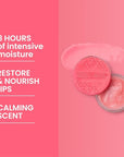 Burt's Bees Overnight Lip Sleeping Mask,