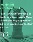 EO Conditioner, 1 Gallon, Grapefruit and Mint, Organic Plant-Based, Botanical Extracts