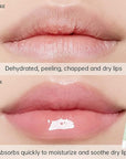 4 Pcs Summer Special Lip Butter Balm, Special Lip Balm, With Natural Ingredients of Shea Butter & Olive Butter, Long-Lasting Hydrating Non-Sticky Lip Balm, Soothes And Softens Dry Lips