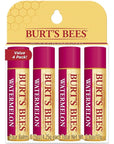 Burt's Bees 100% Natural Origin Moisturizing