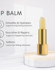 êb être belle Cosmetics Lip Protector Balm, Skin Care for Women, Long Lasting Lip Moisturizer with Shea Butter, Beeswax, Royal Jelly & Natural Oils, Make Up Essential, Travel Friendly, Clear, 4.6 mL
