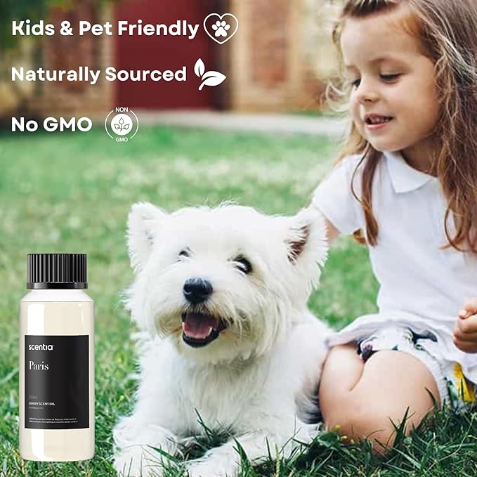 Scentia Hotel Fragrance Oil Inspired by The Hotel Costes - 120 mL 4.06 fl oz - Refill Diffuser Oil Blend Rose, Clove & Sandalwood Notes for Aromatherapy Diffusers - Paris, Thanksgiving Gift