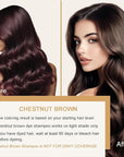 Brown Hair Dye Shampoo 3 in 1, Herbal Hair Color Shampoo, Long Lasting Brown Hair Dye, Shampoo Para Pintar el Cabello, Colors Hair in Minutes, Easy to Use, 16.90 Fl Oz