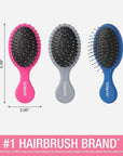 Conair Detangling 3PK mini hair brush - use wet or dry - ideal for curly or straight styles - detangler hairbrush - hairbrushes for women - great for travel - Pink, Grey, Blue