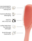 Tangle Teezer Fine & Fragile Ultimate Detangler Brush, Dry & Wet Hair Brush to Detangle & Reduce Breakage, Amazon Exclusive Sweet Cinnamon