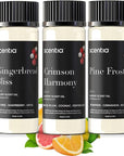 Christmas Fragrance Oil Set – Winter Essential Oils for Diffusers & Candle Making – Pine Frost, Gingerbread Bliss & Crimson Harmony – Holiday Gift Set – Made in USA – 3×20ml (2.03 fl oz)