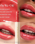 Nature Republic HONEY MELTING LIP (04 POMEGRANATE) SOFT LIP STICK, Hydrating Gloss, Moisturizing balms, Sheer tint, Shine & Glowy Finish, korean make up