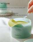 Hanyul pure artemisia calming toner