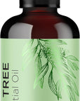 Pure Tea Tree Oil for Hair Skin and Nails - 100% Pure Undiluted Tea Tree Essential Oil with Dropper for Topical Uses Aromatherapy Diffusing and Home and Beauty DIYs - Vegan and Cruelty Free (4 Fl Oz)