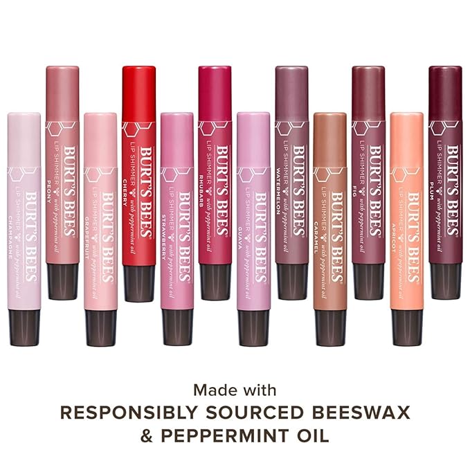 Burt's Bees Lip Balm, Moisturizing Lip