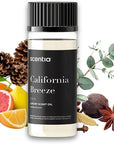 Scentia Hotel Diffuser Oil Inspired by The Delano Beach Club Hotel Scent - 50 mL 1.69 fl oz - Fragrance Oil Blend Orange, Green Tea for Aromatherapy Diffusers - California Breeze, Thanksgiving Gift