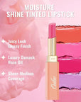 Oulac Moisturizing Shine Lipstick For Women Christmas Set 2PCS, 2 in 1 Tinted Lip Balm for Winter, Hydrated Juicy and Glossy Lip Color for Dry, Cracked and Chapped Lips, Vegan [07+14]