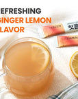 TEAZEN Lemon Ginger Hot Kombucha Tea, Live Probiotics & Postbiotics, Relaxation and Warmth for Colds and Sore Throat, Hydration Drink Mix, Sugar Free, 30 Sticks, 5.29oz