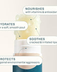 Cliganic Organic Lip Balm Set (Fresh Picked, 8 Flavors) - 100% Natural Moisturizer for Cracked & Dry Lips