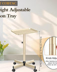 Salon Tray Hairdresser Tray on Wheels Hair Tray for Hair Stylist Gold