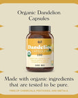 Complete Natural Products Pure Organic Dandelion Root Capsules - 530mg Capsules 100 Pills Dried Dandelion Root Herbal Supplement