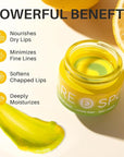 3-in-1 Dual-Color Sleeping Lip Mask Set – Blueberry, Grape & Lemon | Hydration & Repair for Dry Cracked Lips, Infused with Grape Seed Oil and Citrus Extracts for Rejuvenates Lips, 1.26 Fl Oz