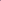XMONDO Color Purple + Pink