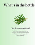 Pure Tea Tree Oil for Hair Skin and Nails - 100% Pure Undiluted Tea Tree Essential Oil with Dropper for Topical Uses Aromatherapy Diffusing and Home and Beauty DIYs - Vegan and Cruelty Free (4 Fl Oz)
