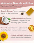 Moroccan Magic Organic Manuka Honey Lip Balm 3 Pack | Ultra-Hydrating Argan & Essential Oil Lip Moisturizer + Vitamin E | Natural Chapstick for Dry Lips | Smooth, Non-Toxic | Organic Lip Balm