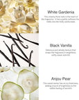 Victoria's Secret Fine Fragrance Bundle Noir Tease