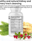 Youth & Tonic 15 Day Colon & Kidney Cleanse – Full Body Detox Pills for Bloating, Gut, Bladder, Urinary Tract & Kidney Flush Support – Senna & Cranberry Herbal Supplement, 60 Pills for Men & Women