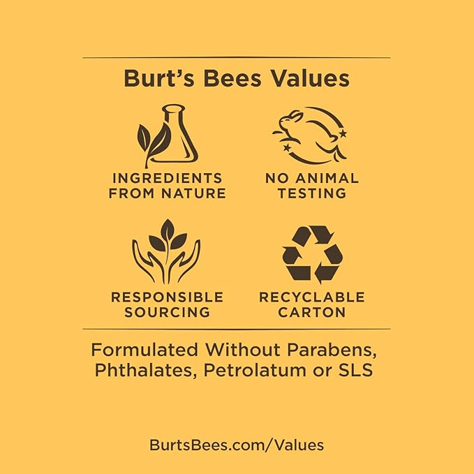 Burt's Bees 100% Natural Moisturizing Lip