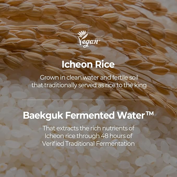 SKINFOOD Rice Daily Sheet Mask, Hydrating and Nourishing Face Mask with Rich Rice Essence, Vegan Korean Skincare for Smooth, Clear, Radiant Skin (10 EA)