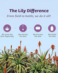 Lily of the Desert Aloe Vera Gel - Inner Fillet Thicker Consistency Aloe Vera Drink with Natural Vitamins,Digestive Enzymes for Gut Health, Stomach Relief, Wellness, Glowing Skin, 32 Fl Oz (Pack of 2)