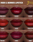 Juvia's Place Reds & Berries Velvety Matte Lipsticks The Berries Oh Damn - Rich Burgundy, Soft-Matte Lipstick, Hydrating, Highly Pigmented, Creamy, Smooth, and Long-Lasting