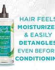 Carol’s Daughter Wash Day Delight Love at First To Foam Sulfate Free Shampoo with Aloe and Micellar Water, Paraben and Silicone Free, Micellar Shampoo for Kinky, Curly Hair, 16.9 fl oz