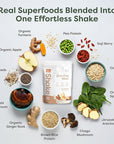 310 Nutrition All-In-One Meal Replacement Shake - Plant-Based Protein Powder with High Fiber, Probiotics, Digestive Enzymes & Adaptogens - Low Carb Vegan Keto Friendly Superfoods Smoothie - Horchata Flavor - 14 Servings